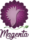 Magenta — Hortensias
